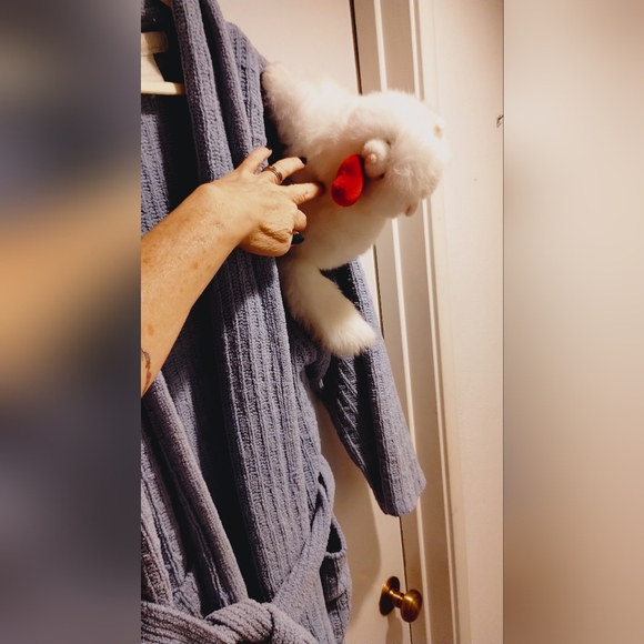 Women's Custom Crazy Cat Kitty Plushie Colorado Clothing Midi Robe. - Picture 3 of 8